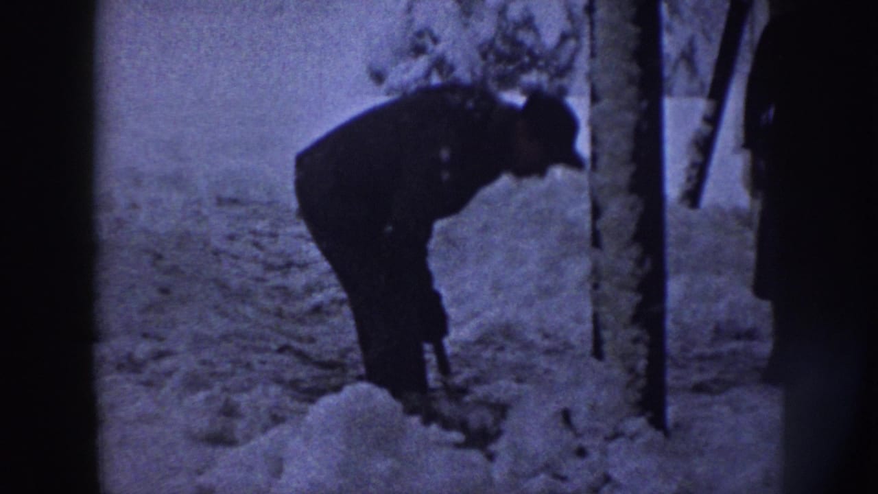 Man bends over near a tree while shoveling snow from the sidewalk.
