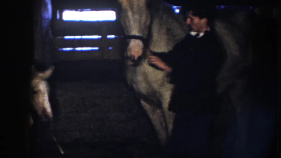 Inside the Nebraska barn, an adult horse stands beside a man who appears to touch or steady it, with the foal partly visible at left.