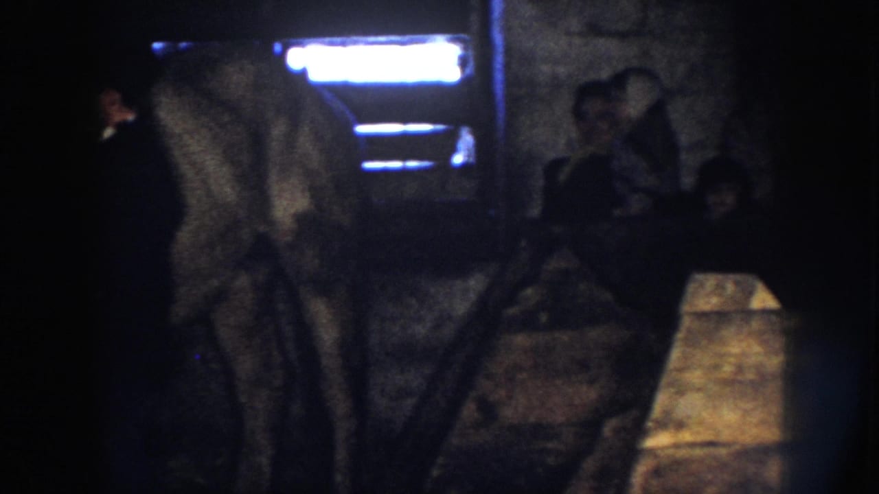 A light-colored horse stands in a low-lit Nebraska stable as several people appear near the wall and stall area.