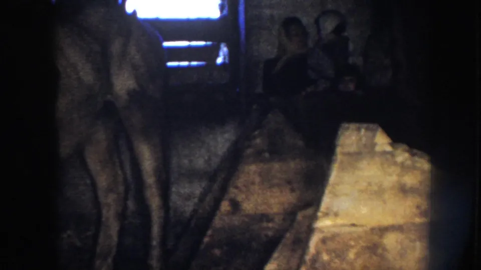 The mare and newborn foal appear inside the Nebraska stable, with onlookers nearby and straw bedding on the floor.