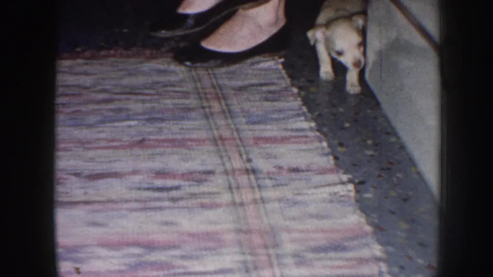 The puppy stands near the wall and a woman's black heels beside the patterned rug in a private Nebraska home interior from 1958.
