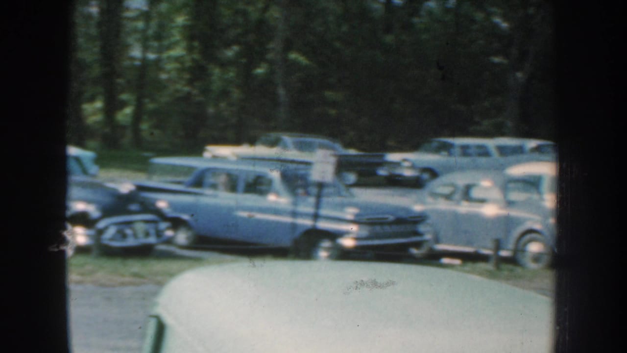 Parked 1950s cars seen through dark window-like vertical divisions beside a wooded lot.