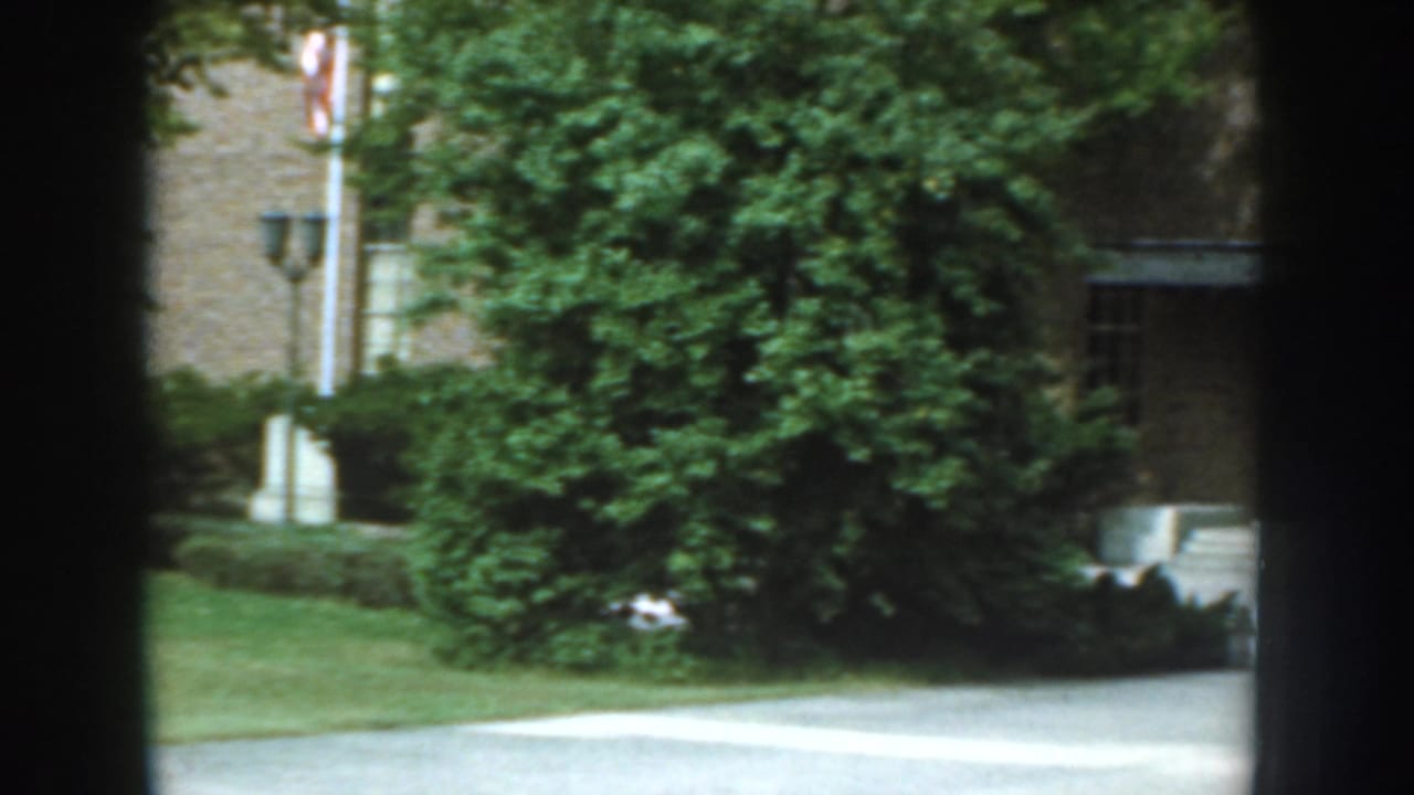 Trees, lawn, brick facade, and paved courtyard with dark frame edges.