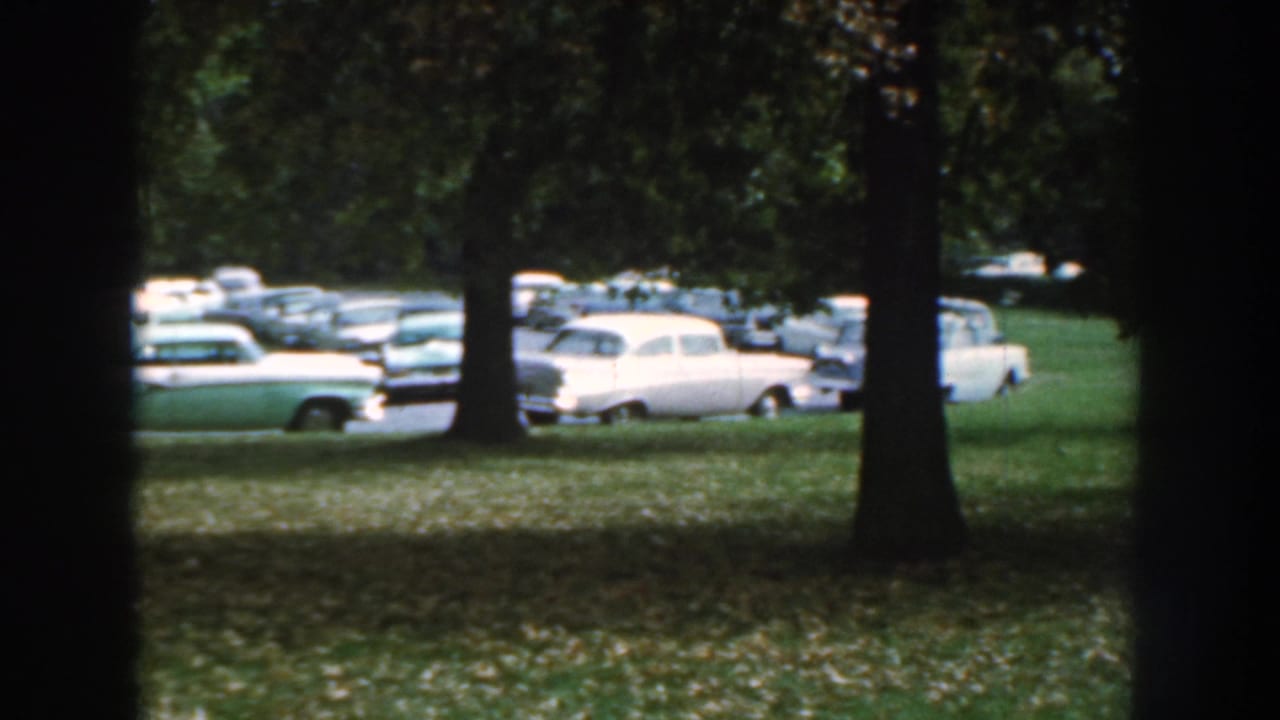 Parked mid-century cars seen through trees beside a lawn.