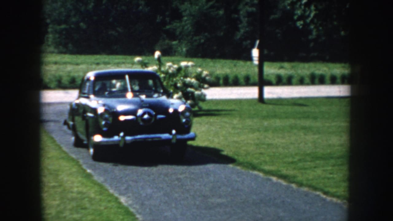 Dark blue sedan approaching along the driveway with lawn and shrubs behind it.