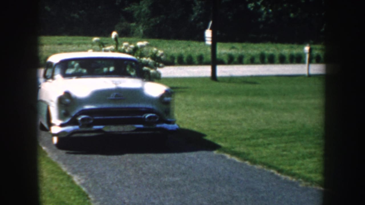 White sedan closer on the driveway with lawn and roadside plantings behind it.