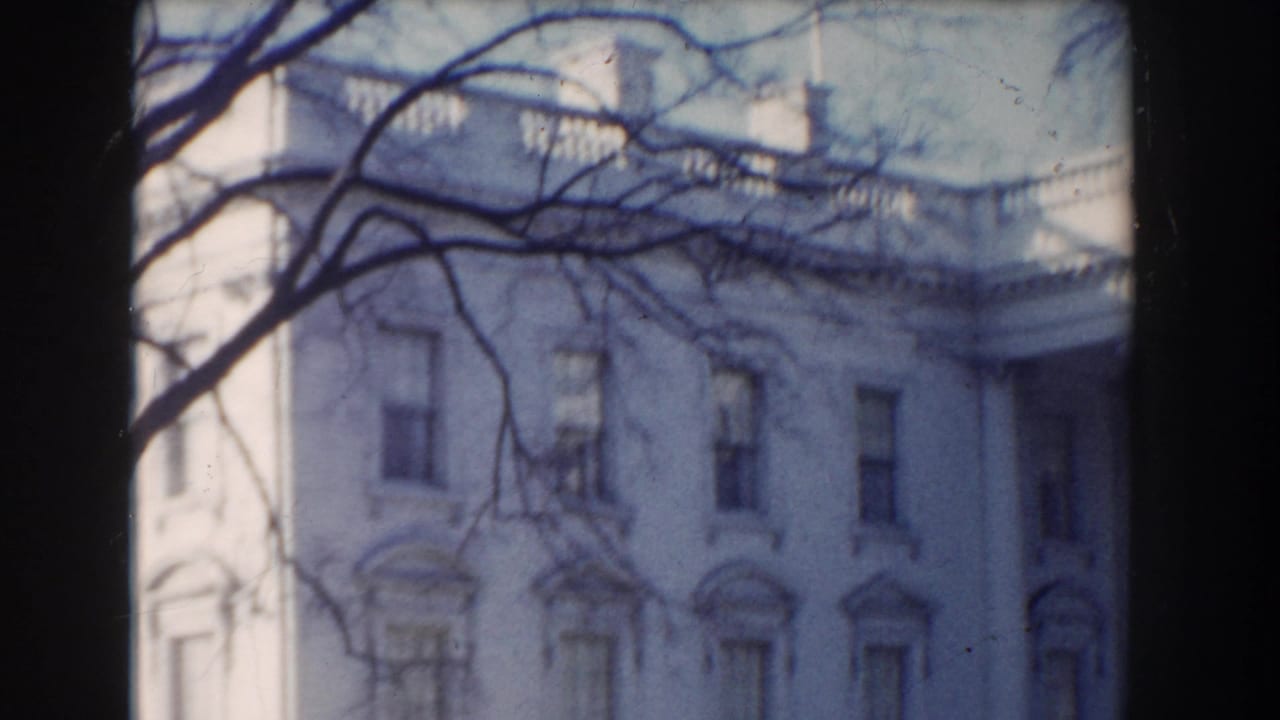 Washington, DC architectural detail seen through bare branches, showing windows and ornate white facade work on a civic-looking building.