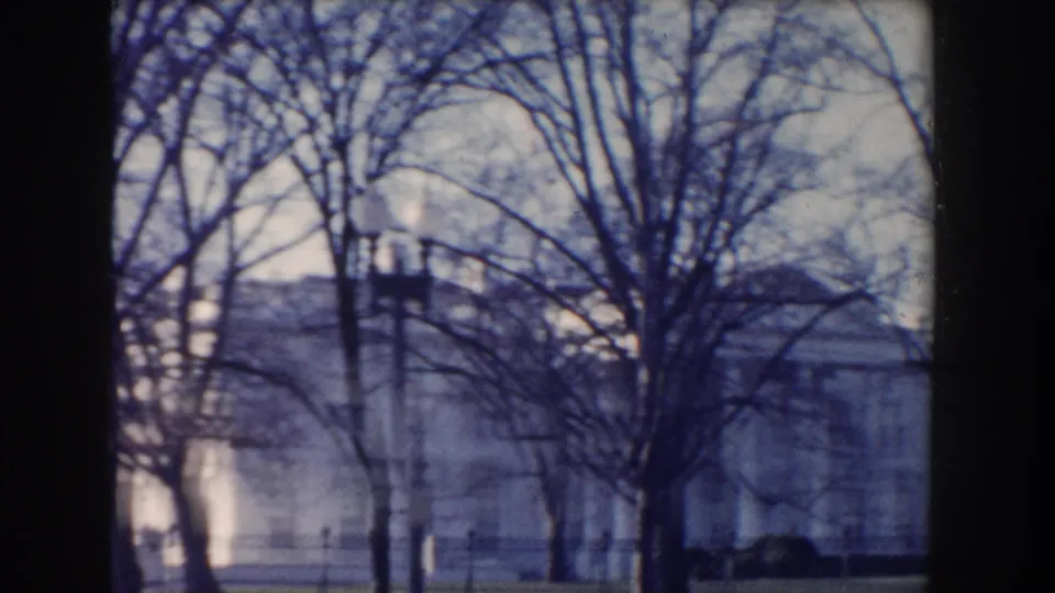 Washington, DC building facade partly hidden by leafless trees, with a lamppost and winter park foreground visible.
