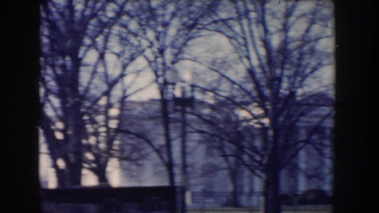 Bare trees and a pale building seen across a Washington DC street.