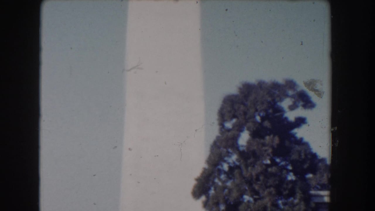Partial Washington Monument shaft with a dark tree against pale blue sky.