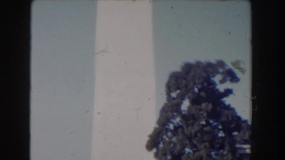 1960s 8mm Washington, DC frame showing part of the Washington Monument with a nearby tree and visible film gate edges.