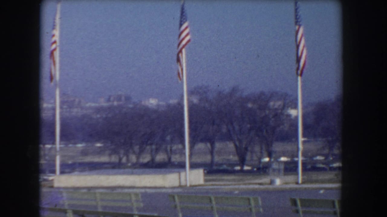 American flags on poles with bare trees, parked cars, and distant buildings beyond.