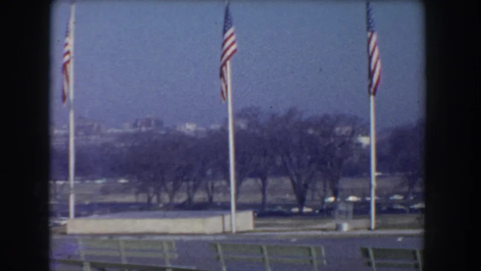 Washington, D.C. view across flagpoles toward bare trees, parked cars, and distant federal-looking buildings.