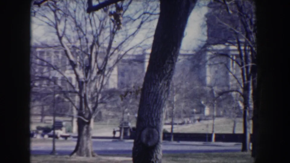 1960 Washington, DC park scene with a close tree trunk, road, benches, bare trees, and large buildings in the distance.