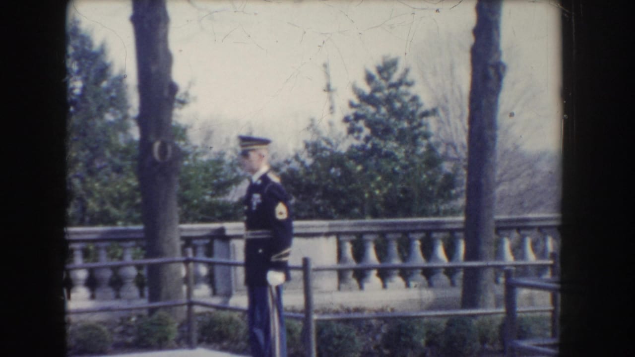 Uniformed guard standing at attention near a stone balustrade and trees.