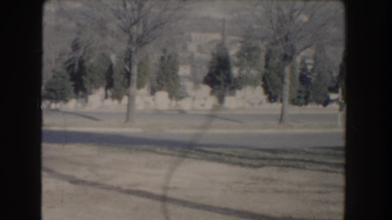 Roadside view with bare trees, evergreens, lawn, and stone wall.