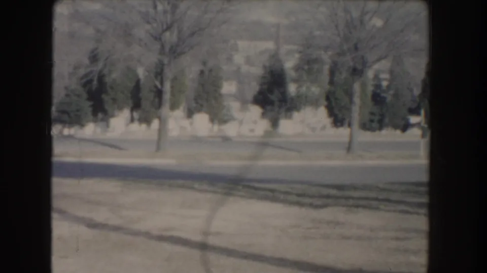 A soft 1960 Washington, DC roadside view shows bare trees, evergreen plantings, a lawn edge, and a pale stone wall in the distance.