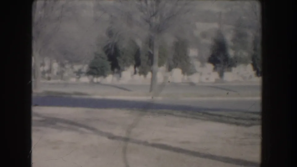 The 8mm frame holds a blurred roadside and lawn with bare trees, dark evergreens, and a pale wall beyond.
