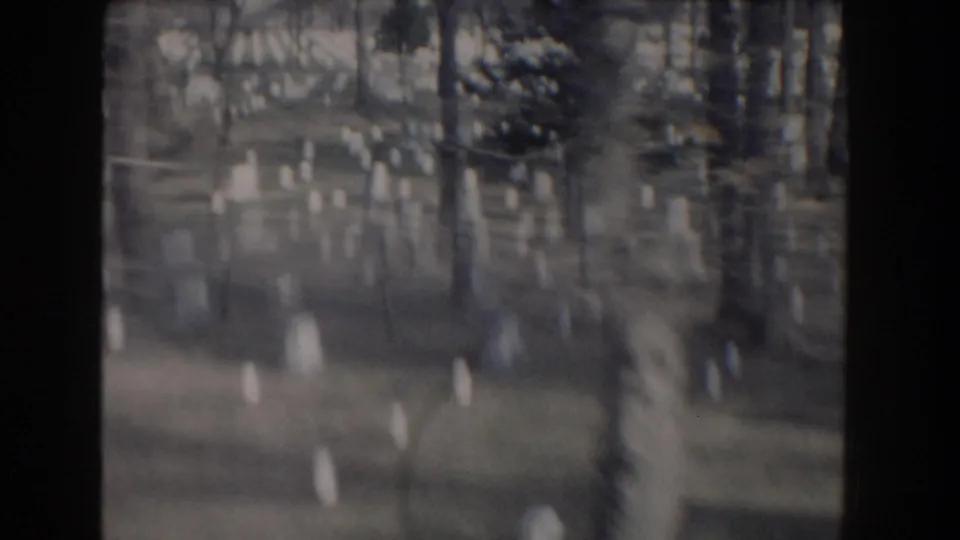 A dim, out-of-focus final frame shows tree trunks and scattered bright vertical shapes, possibly outdoor markers or reflections.
