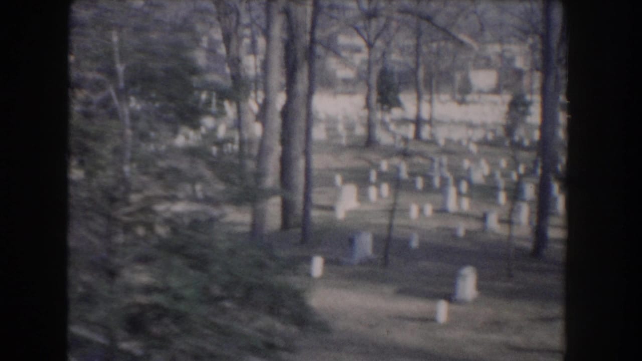 White headstones among leafless trees in a cemetery landscape.