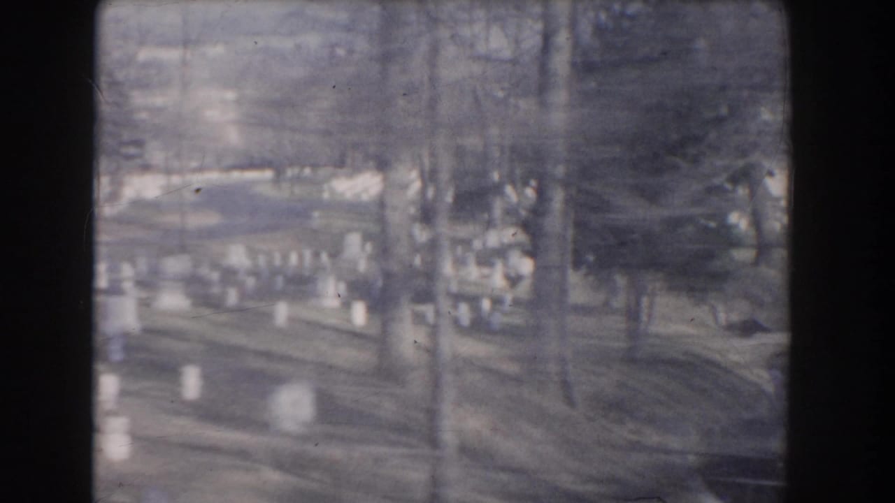 Cemetery road and white markers seen through trees.