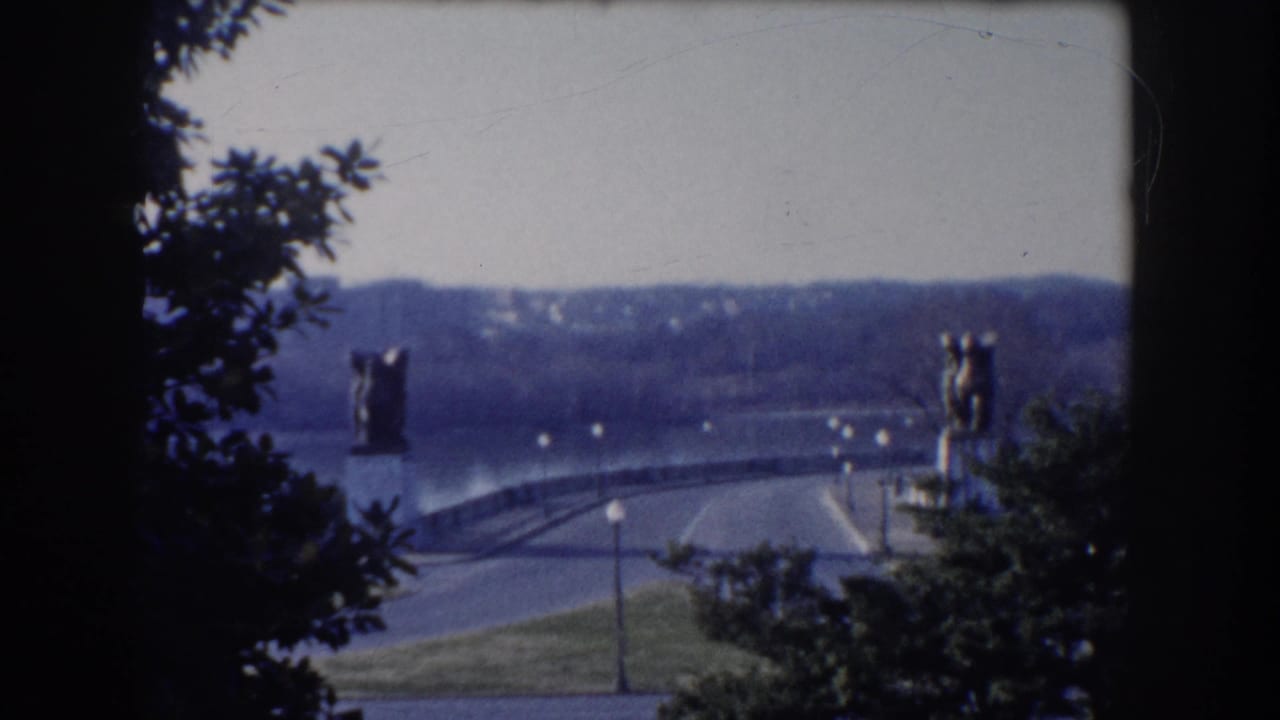 Bridge and roadway seen beyond dark tree branches, with statues on tall pedestals near the span.
