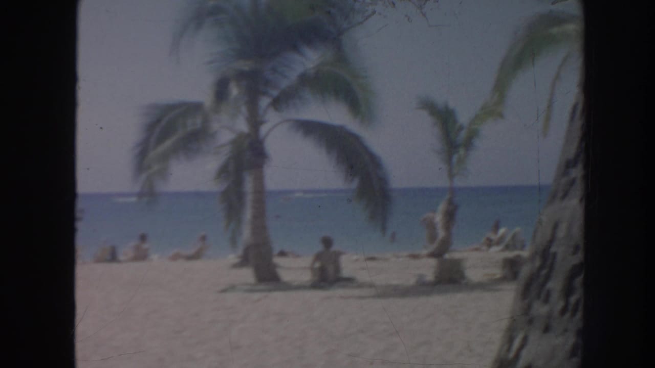Palm-framed beach scene with people seated near the shoreline.
