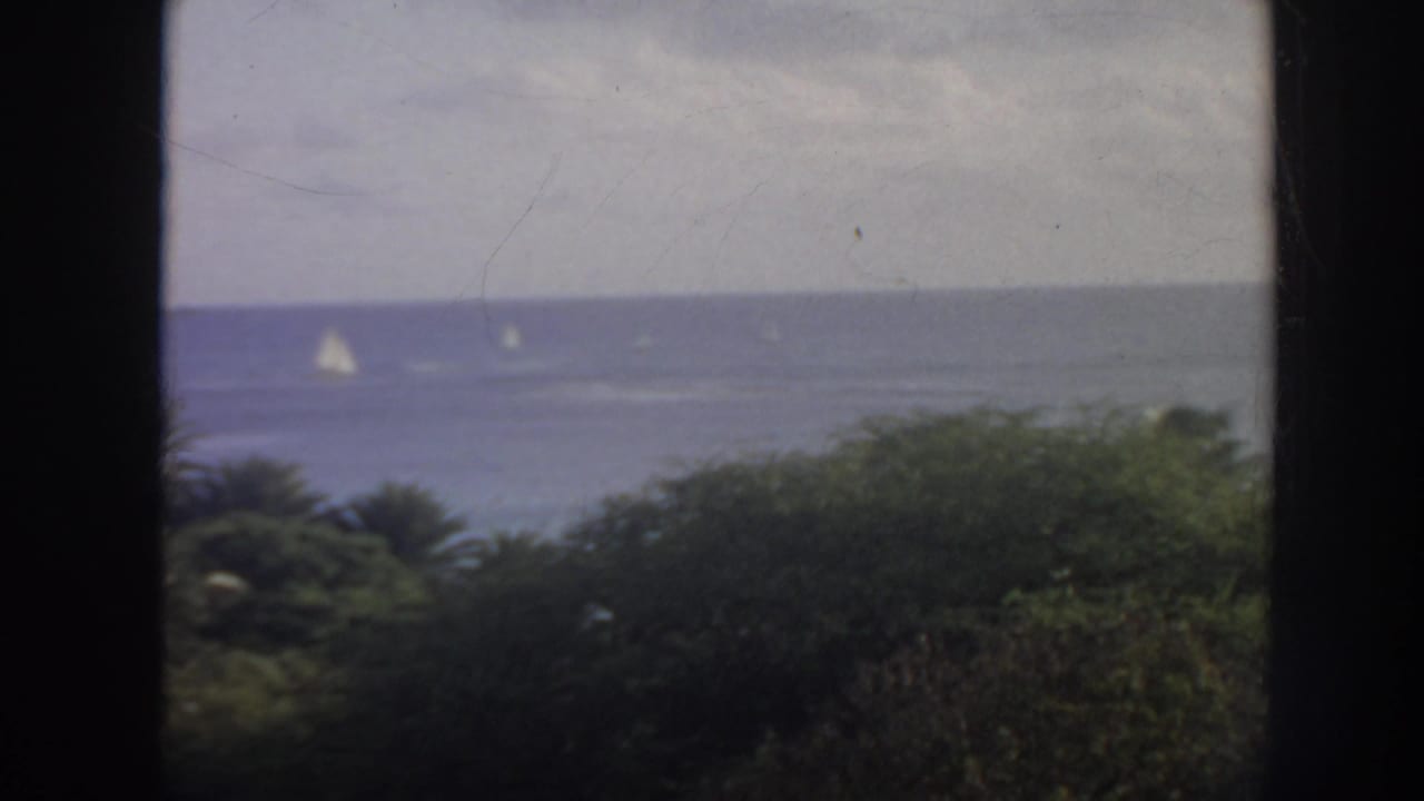 1961 Hawaii 8mm view of small sailboats on blue water behind palm foliage and a dark window mullion.