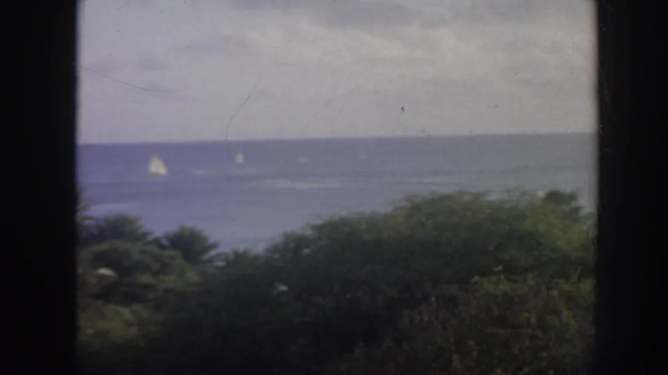 1961 Hawaii 8mm view of small sailboats on blue water behind palm foliage and a dark window mullion.