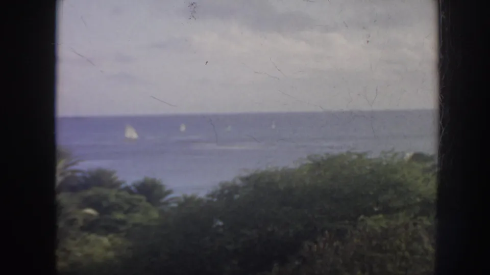 1961 Hawaii coastal view with sailboats on calm blue water, framed by tropical plants and a dark vertical window bar.