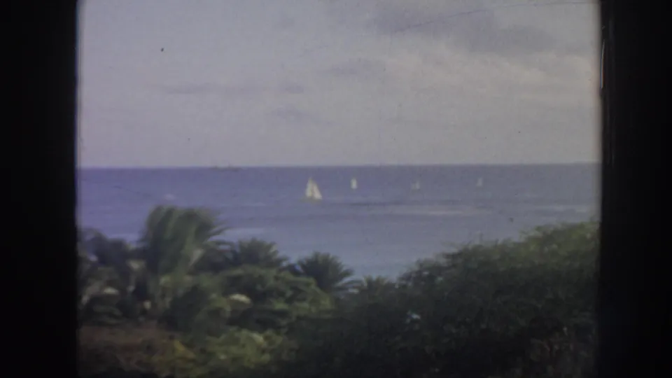 1961 Hawaii home-movie frame showing the sea horizon, tiny white sails, palms, and soft tropical foreground greenery.