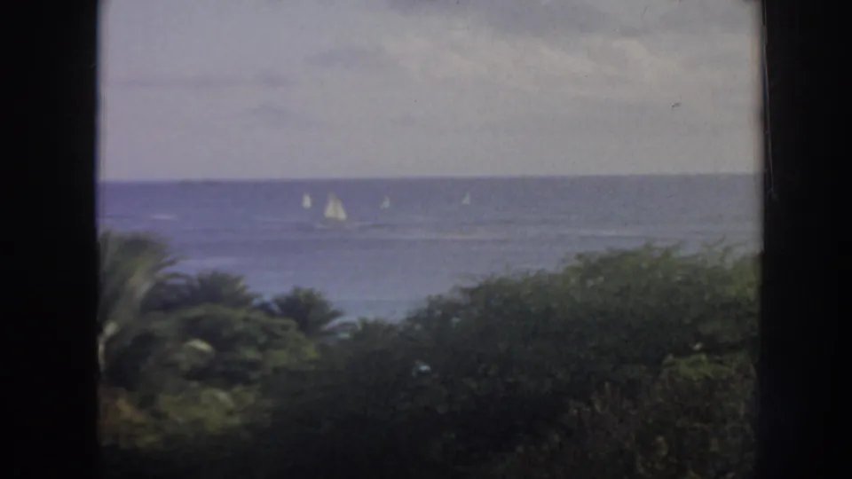 1961 Hawaii 8mm seascape with white sails scattered on blue water, viewed past palms, shrubs, and a dark window edge.