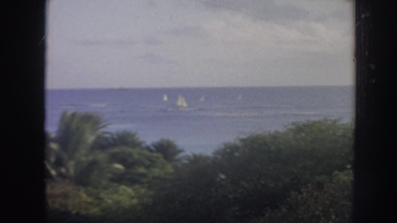1961 Hawaii coastal view with sailboats on blue water, palm foliage below, and a dark window mullion framing the shot.