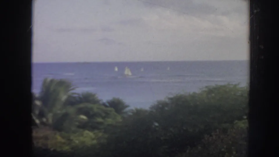 1961 Hawaii coastal view with sailboats on blue water, palm foliage below, and a dark window mullion framing the shot.