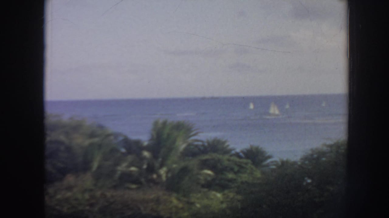 Blue ocean and sailboats beyond palm trees, divided by a dark vertical window frame.