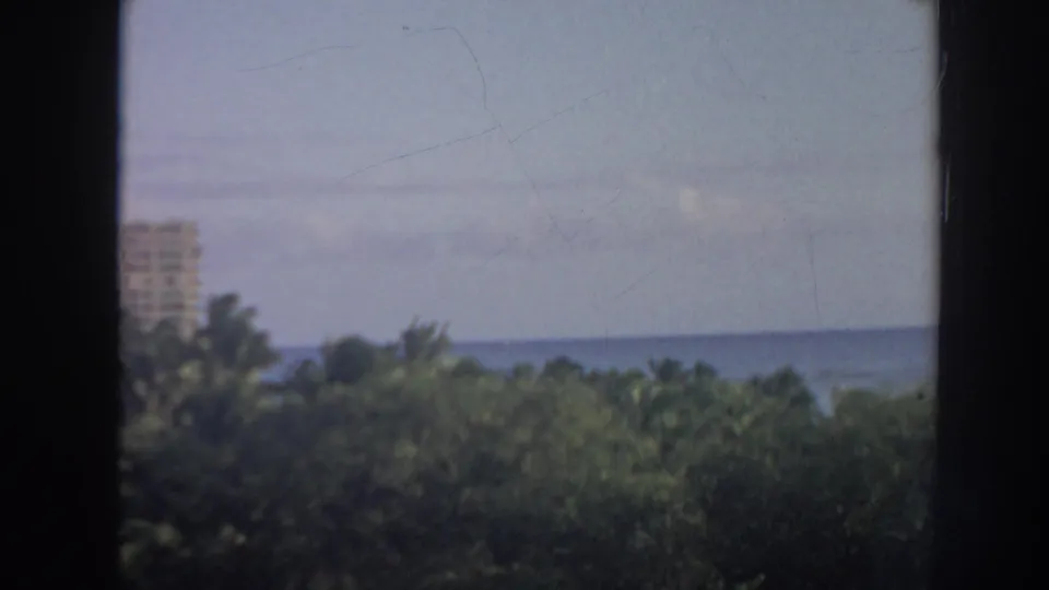 1961 Hawaii coastal scene with dense palms and shrubs, ocean beyond, and a light-colored high-rise partly visible at left.