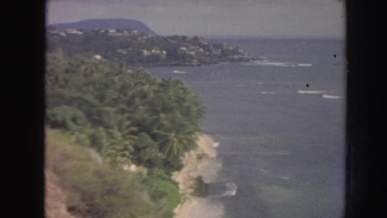 Palm-lined Hawaiian coastline with blue ocean, surf, and distant headland.