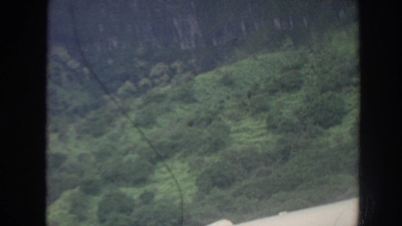 Green forested slope and dark cliff or ridge edge under hazy light.