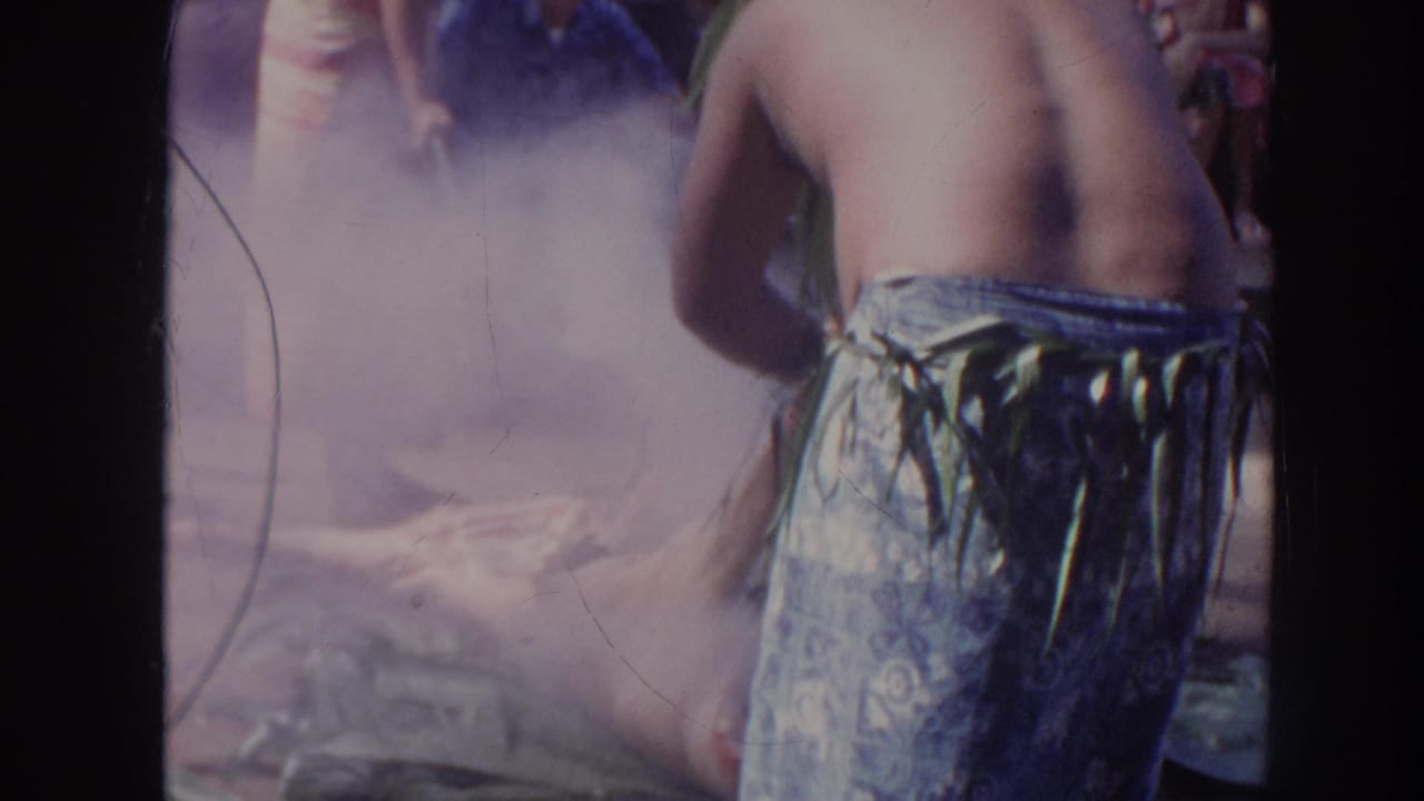 Performer from behind near dense smoke, with spectators and plants partly visible.