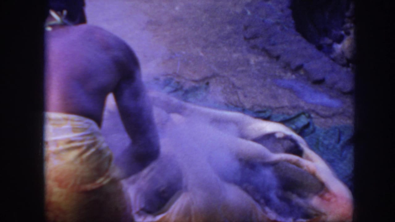 1961 Hawaii 8mm frame showing a person in a grass skirt beside a pig laid on cloth during outdoor preparation.