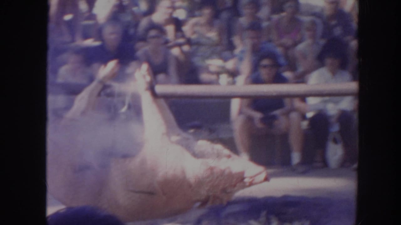 1961 Hawaii home-movie frame showing a whole pig on a spit over smoke with seated spectators in the background.