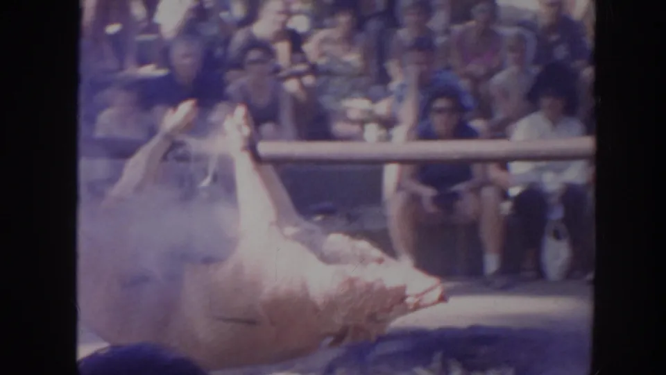 1961 Hawaii home-movie frame showing a whole pig on a spit over smoke with seated spectators in the background.