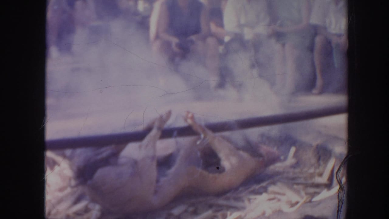 1961 Hawaii 8mm frame with smoke around a whole animal laid on leaves, while spectators sit behind the cooking area.