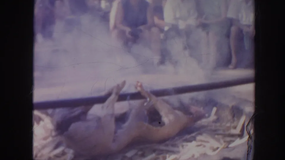 1961 Hawaii 8mm frame with smoke around a whole animal laid on leaves, while spectators sit behind the cooking area.