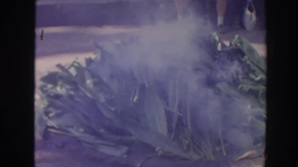 1961 Hawaii 8mm frame where dense smoke rolls over large leaves and partly hides the ceremonial area, with spectators faintly behind.