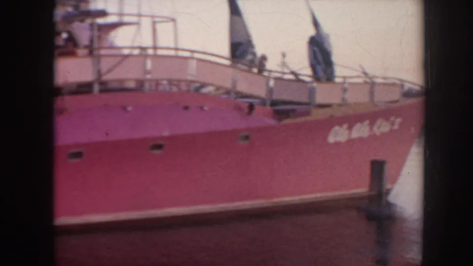 A large pink vessel sits near the harbor with deck railings and small figures visible, continuing the Hawaii travel setting.