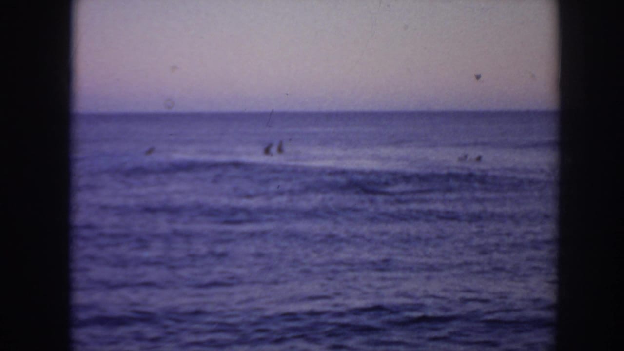 Small silhouettes of surfers sit in the water as a wave line moves across the frame.