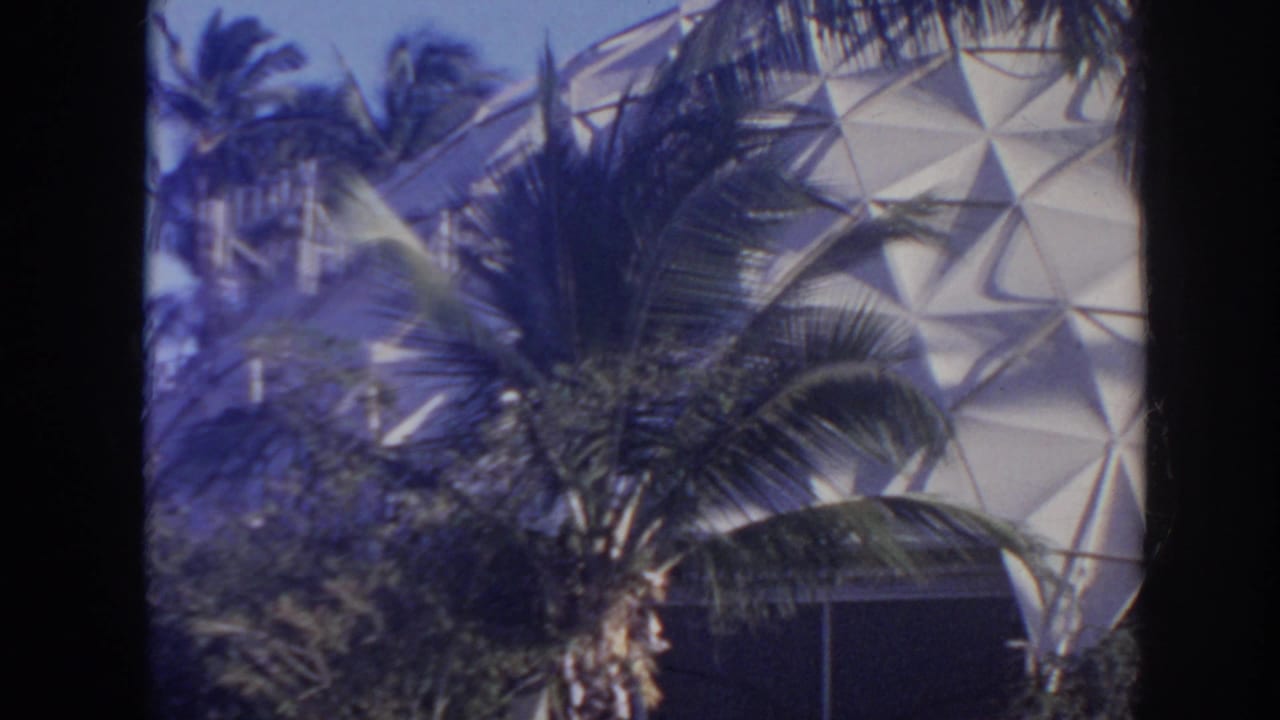 1961 Hawaii resort view with palm fronds crossing a white faceted dome surface in soft 8mm color.