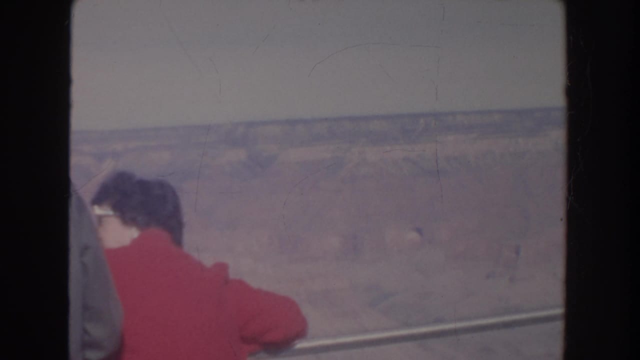 Woman in a red jacket stands by an overlook railing with a canyon landscape beyond.