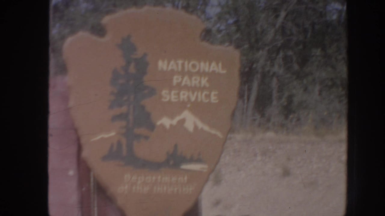 National Park Service arrowhead sign beside trees and a pale roadside area.